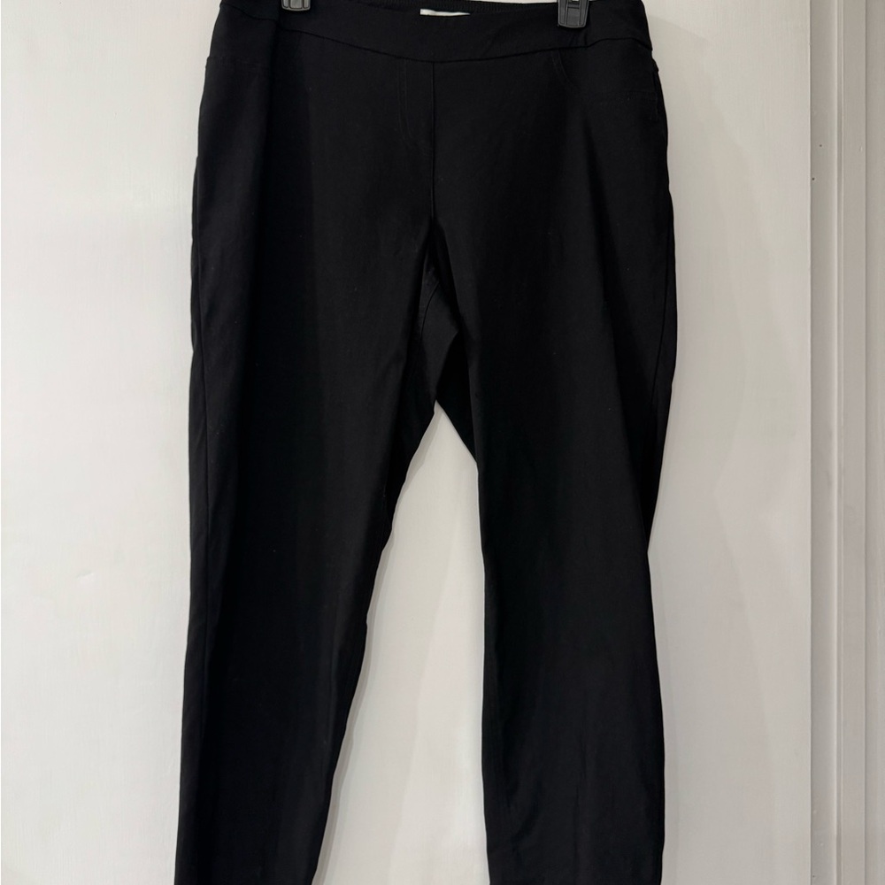 Coldwater Creek Pull-On Petite Anywear ShapeMe Ankle Pants